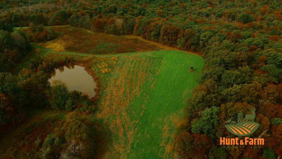 Still 2025-11-29 081237_1.34.1.jpg